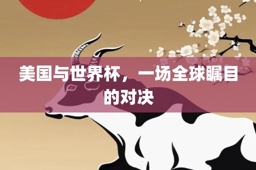 美国与世界杯，一场全球瞩目的对决
