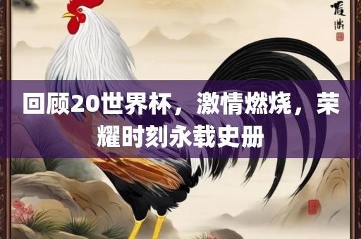 回顾20世界杯，激情燃烧，荣耀时刻永载史册漯河市盈旭机械设备有限公司