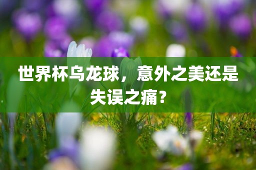 世界杯乌龙球，意外之美还是失误之痛？