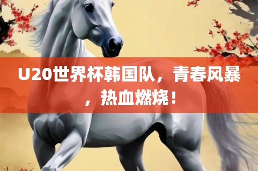 U20世界杯韩国队，青春风暴，热血燃烧！