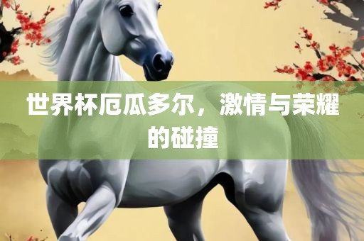 世界杯厄瓜多尔，激情与荣耀的碰撞