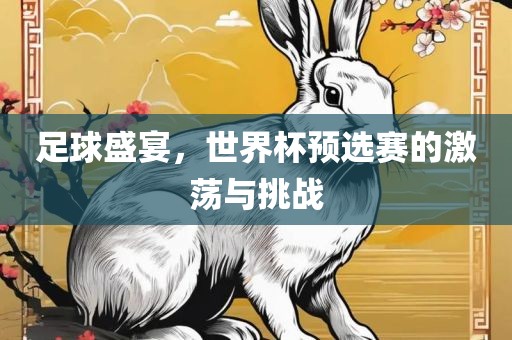 足球盛宴，世界杯预选赛的激荡与挑战