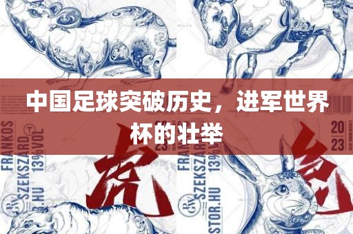 中国足球突破历史，进军世界杯的壮举