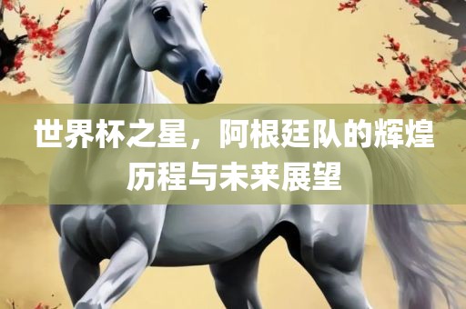 世界杯之星，阿根廷队的辉煌历程与未来展望