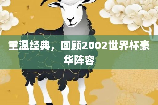 重温经典，回顾2002世界杯豪华阵容