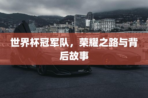 世界杯冠军队，荣耀之路与背后故事