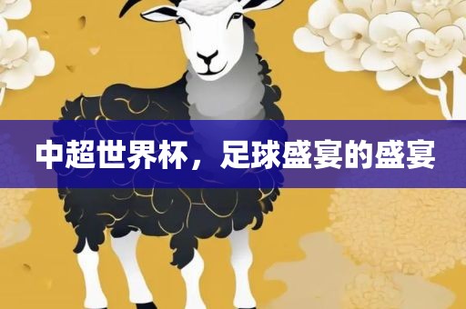 中超世界杯，足球盛宴的盛宴
