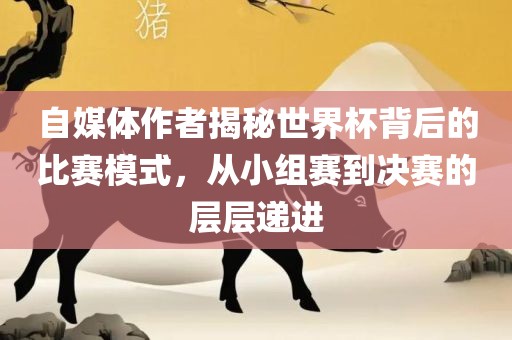 自媒体作者揭秘世界杯背后的比赛模式，从小组赛到决赛的层层递进