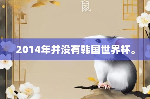 2014年并没有韩国世界杯。