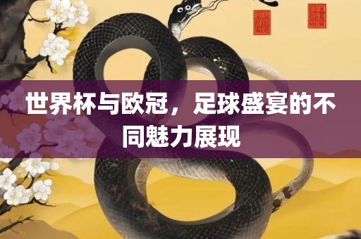 世界杯与欧冠，足球盛宴的不同魅力展现