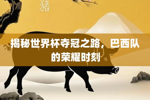 揭秘世界杯夺冠之路，巴西队的荣耀时刻