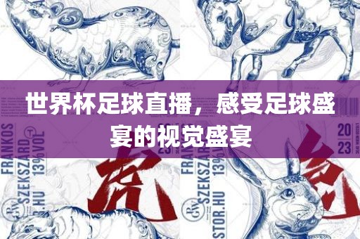 世界杯足球直播，感受足球盛宴的视觉盛宴漯河市盈旭机械设备有限公司