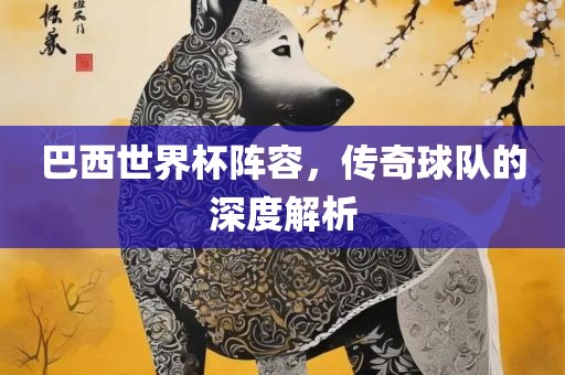 巴西世界杯阵容，传奇球队的深度解析漯河市盈旭机械设备有限公司