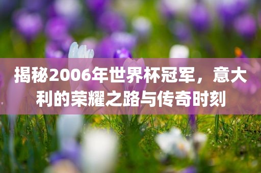 揭秘2006年世界杯冠军，意大利的荣耀之路与传奇时刻