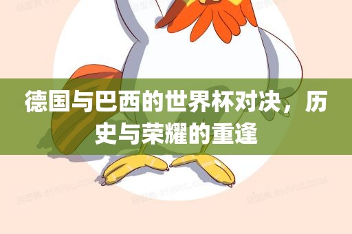 德国与巴西的世界杯对决，历史与荣耀的重逢漯河市盈旭机械设备有限公司