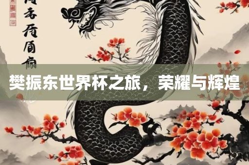 樊振东世界杯之旅，荣耀与辉煌