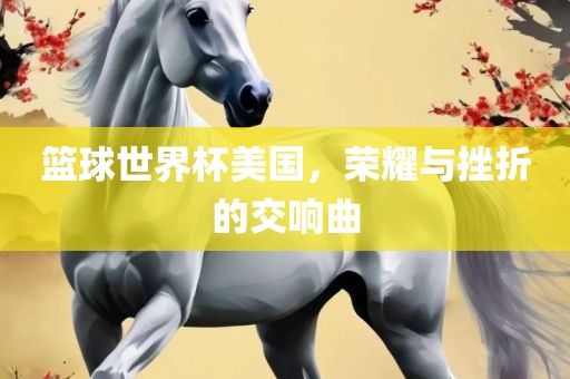 篮球世界杯美国，荣耀与挫折的交响曲