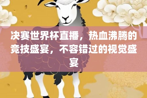 决赛世界杯直播，热血沸腾的竞技盛宴，不容错过的视觉盛宴