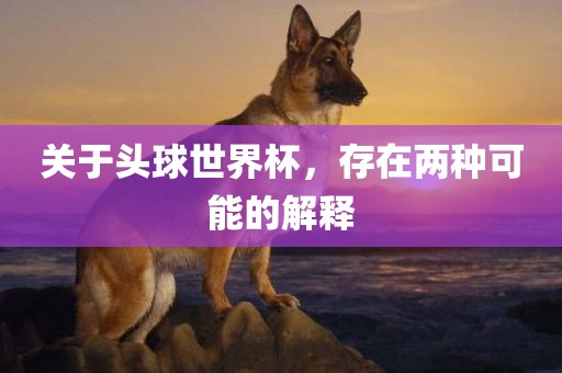 关于头球世界杯，存在两种可能的解释