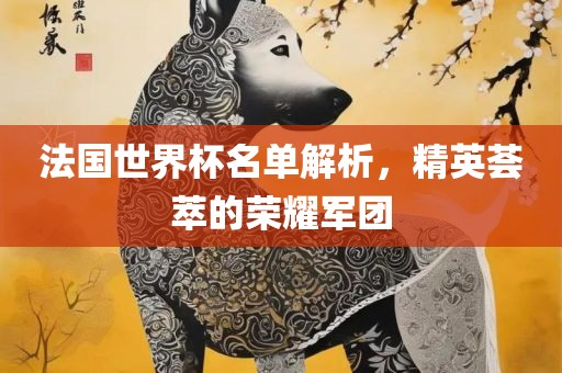 法国世界杯名单解析，精英荟萃的荣耀军团