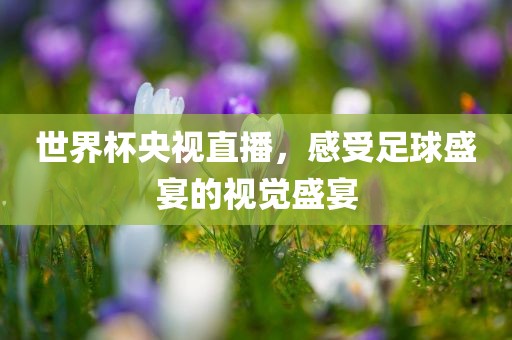 世界杯央视直播，感受足球盛宴的视觉盛宴