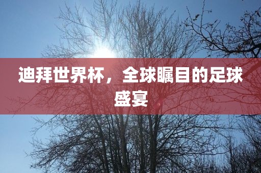 迪拜世界杯，全球瞩目的足球盛漯河市盈旭机械设备有限公司宴