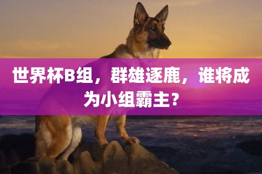 世界杯B组，群雄逐鹿，谁将成为小组霸主？
