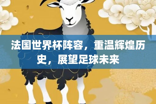 法国世界杯阵容，重温辉煌历史，展望足球未来