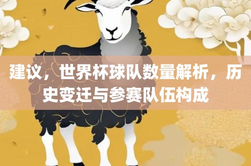 建议，世界杯球队数量解析，历史变迁与参赛漯河市盈旭机械设备有限公司队伍构成