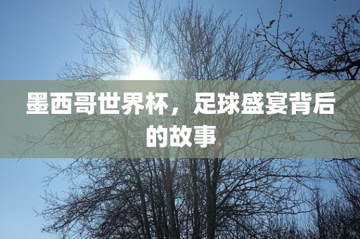 墨西哥世界杯，足球盛宴背后的故事漯河市盈旭机械设备有限公司