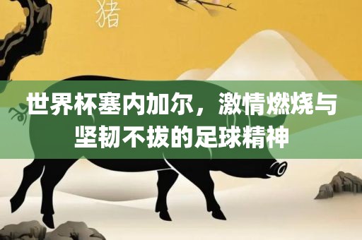 世界杯塞内加尔，激情燃烧与坚韧不拔的足球精神
