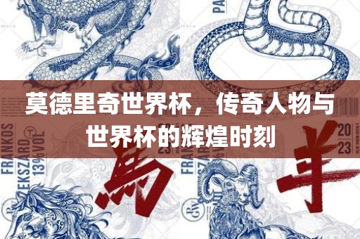 莫德里奇世界杯，传奇人物与世界杯的辉煌时刻