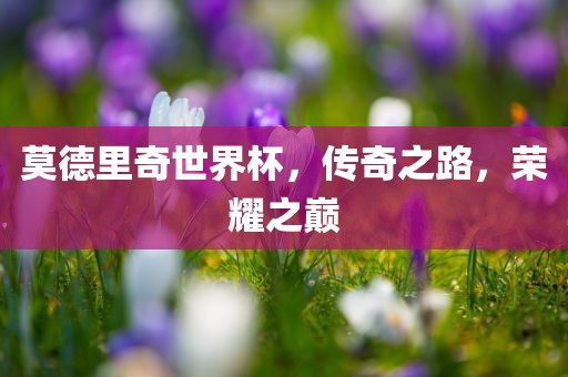 莫德里奇世界杯，传奇之路，荣耀之巅