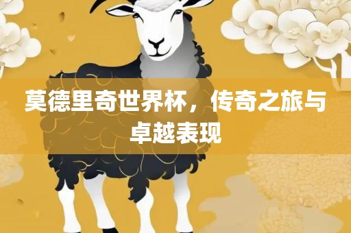 莫德里奇世界杯，传奇之旅与卓越表现