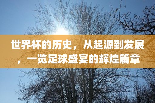 世界杯历史 第8页