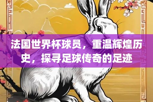 法国世界杯球员，重温辉煌历史，探寻足球传奇的足迹