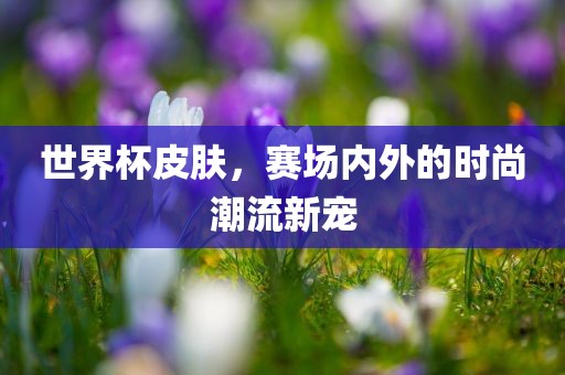 世界杯皮肤，赛场内外的时尚潮流新宠