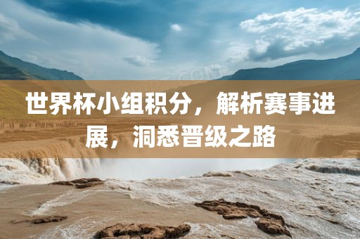 世界杯小组积分，解析赛事进展，洞悉晋级之路