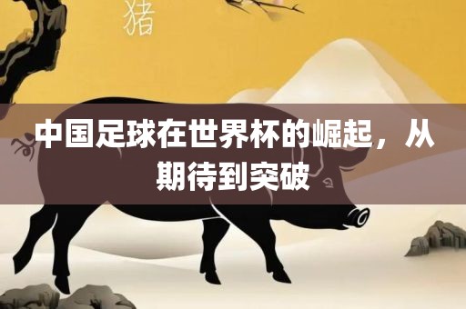 中国足球在世界杯的崛起，从期待到突破