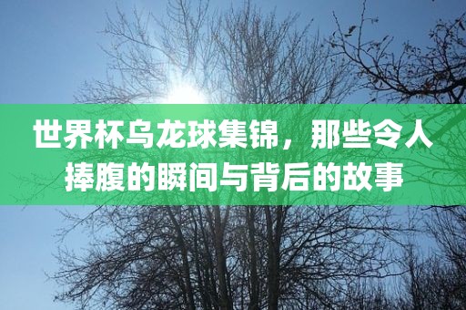 世界杯乌龙球集锦，那些令人捧腹的瞬间与背后的故事