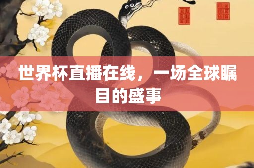 世界杯直播在线，一场全球瞩目的盛事漯河市盈旭机械设备有限公司