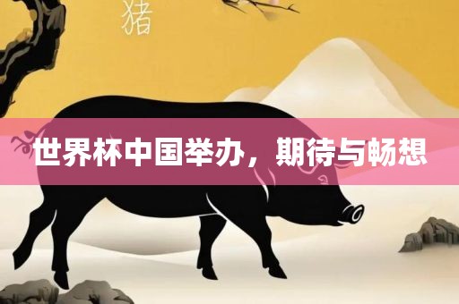 世界杯漯河市盈旭机械设备有限公司中国举办，期待与畅想
