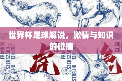 世界杯足球解说，激情与知识的碰撞