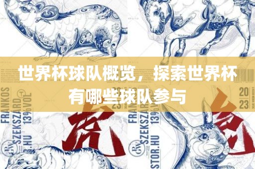 世界杯球队概览，探索世界杯有哪些球队参与