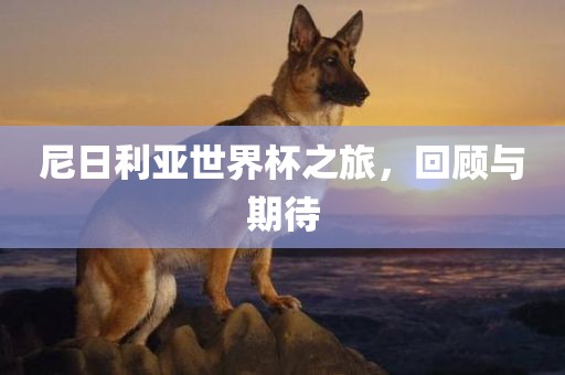 尼日利亚世界杯之旅，回顾与期待