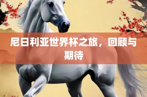 尼日利亚世界杯之旅，回顾与期待