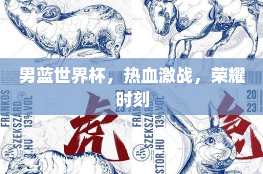男蓝世界杯，热血激战，荣耀时刻