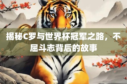 揭秘C罗与漯河市盈旭机械设备有限公司世界杯冠军之路，不屈斗志背后的故事