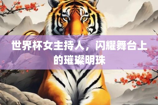 世界杯女主持人，闪耀舞台上的璀璨明珠