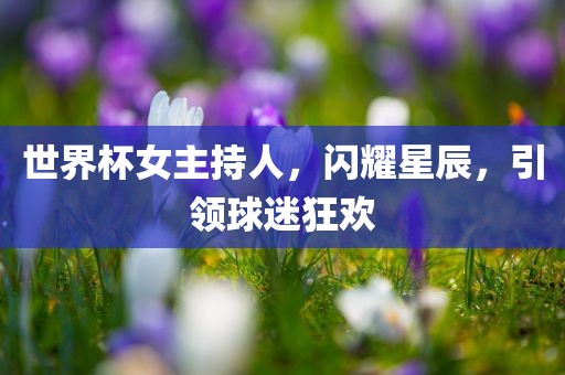 世界杯女主持人，闪耀星辰，引领球迷狂欢